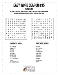 Easy Word Search Printable #35