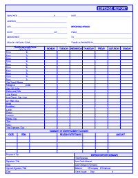 Expense Report Form - Blue