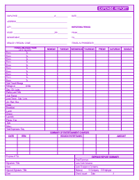 Expense Report Form - Purple