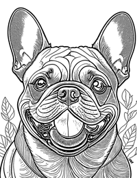 French Bulldog Coloring Page 1 - Full Page