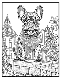 French Bulldog Coloring Page 10 With Border