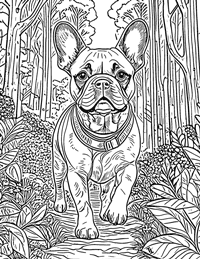 French Bulldog Coloring Page 11 - Full Page