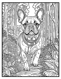 French Bulldog Coloring Page 11 With Border