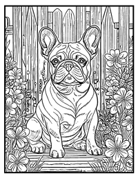 French Bulldog Coloring Page 7 With Border