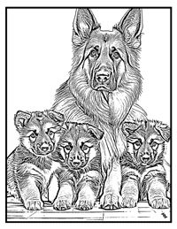 German Shepherd Coloring Page 10 With Border