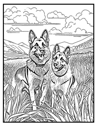 German Shepherd Coloring Page 11 With Border