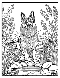 German Shepherd Coloring Page 5 With Border
