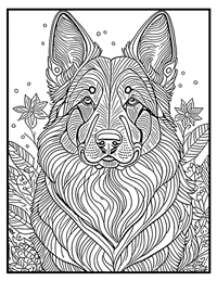 German Shepherd Coloring Page 9 With Border