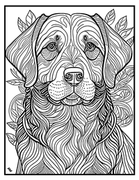 Labrador Retriever Coloring Page 11 With Border