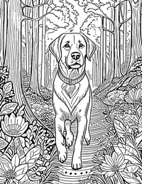 Labrador Retriever Coloring Page 9 - Full Page