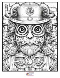 Monster Robots Steampunk

 Coloring Pages for Adults 2B