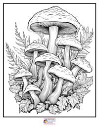 Mushroom Coloring Pages for Adults 10B