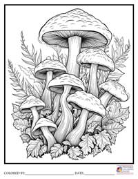 Mushroom Coloring Pages for Adults 10 - Colored By