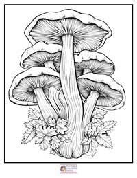 Mushroom Coloring Pages for Adults 2B