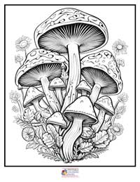 Mushroom Coloring Pages for Adults 3B