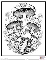 Mushroom Coloring Pages for Adults 3 - Colored By