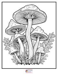 Mushroom Coloring Pages for Adults 4B