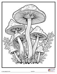 Mushroom Coloring Pages for Adults 4 - Colored By