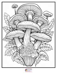 Mushroom Coloring Pages for Adults 5B