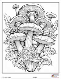 Mushroom Coloring Pages for Adults 5 - Colored By
