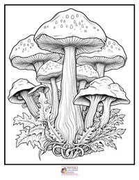 Mushroom Coloring Pages for Adults 6B