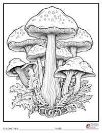 Mushroom Coloring Pages for Adults 6 - Colored By