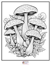 Mushroom Coloring Pages for Adults 7B