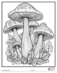 Mushroom Coloring Pages for Adults 8 - Colored By