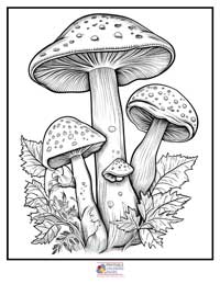 Mushroom Coloring Pages for Adults 9B