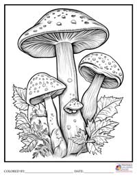Mushroom Coloring Pages for Adults 9 - Colored By