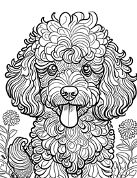 Poodle Coloring Page 1 - Full Page