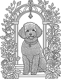Poodle Coloring Page 10 - Full Page