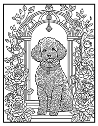 Poodle Coloring Page 10 With Border