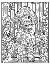 Poodle Coloring Page 11 With Border