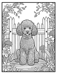 Poodle Coloring Page 12 With Border