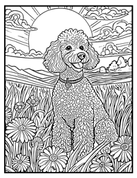 Poodle Coloring Page 2 With Border
