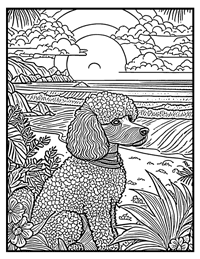 Poodle Coloring Page 3 With Border