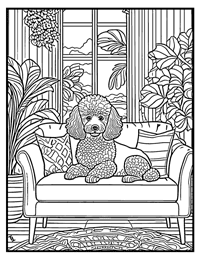 Poodle Coloring Page 4 With Border