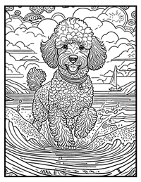 Poodle Coloring Page 6 With Border