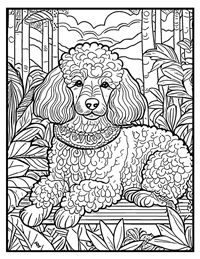 Poodle Coloring Page 7 With Border