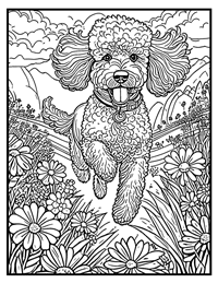 Poodle Coloring Page 8 With Border
