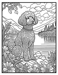 Poodle Coloring Page 9 With Border