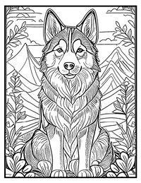 Siberian Husky Coloring Page 10 With Border