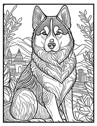 Siberian Husky Coloring Page 11 With Border