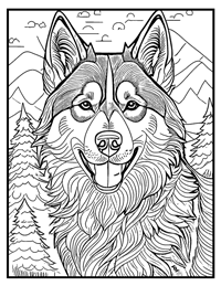 Siberian Husky Coloring Page 12 With Border