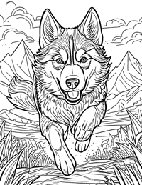 Siberian Husky Coloring Page 2 - Full Page